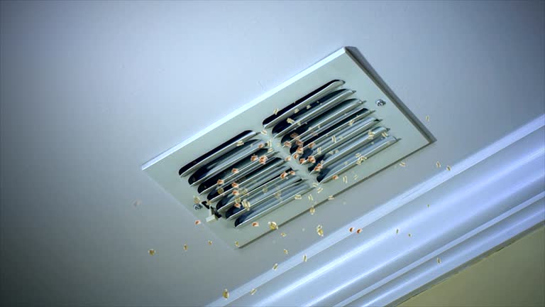 Best Commercial HVAC Duct Cleaning  in Topton, PA