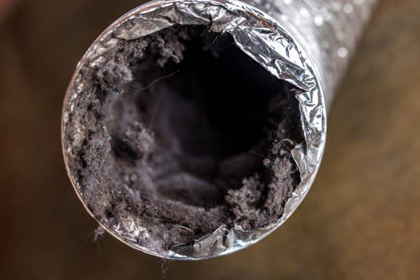 Best Local Air Duct Cleaning Services  in Topton, PA